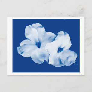 Cartão Postal Azul e Branco