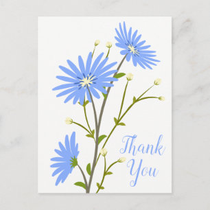 Cartão Postal Azul Floral Obrigado Daisy Flor Casamento Margarid
