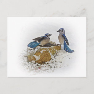 Cartão Postal Azul-marinhos no Inverno