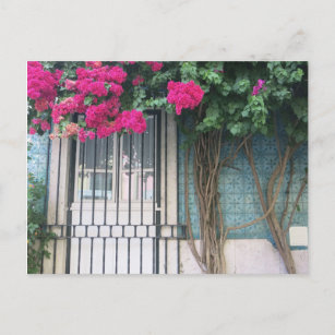 Cartão Postal Azulejos e Flores de Lisboa Bouganvillea