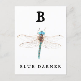 Cartão Postal "B" Blue Darner