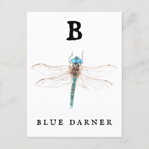 Cartão Postal "B" Blue Darner