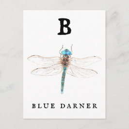 Cartão Postal "B" Blue Darner
