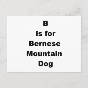 Cartão Postal b é para bernese mountain dog