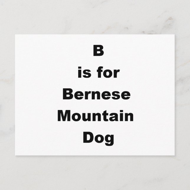 Cartão Postal b é para bernese mountain dog (Frente)