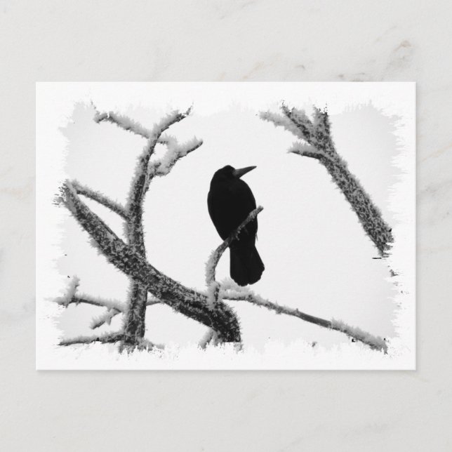 Cartão Postal B&W Winter Raven Edgar Allan Poe (Frente)