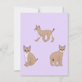 Cartão Postal Baby Bobcats