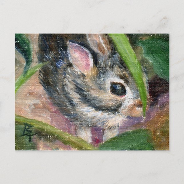 Cartão Postal Baby Bunny Hiding (Frente)