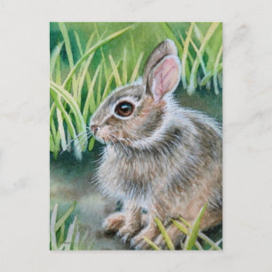 Cartão Postal Baby Cottontail Bunny Rabbit Watercolor Art
