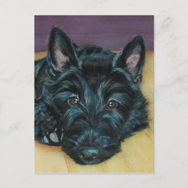 Cartão Postal 'Baby Em' - Scottie puppy (Frente)