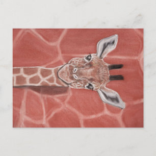 Cartão Postal Baby Giraffe