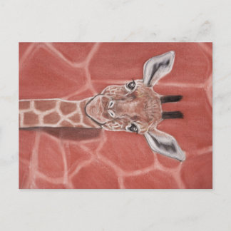 Cartão Postal Baby Giraffe