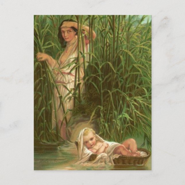 Cartão Postal Baby Moses E O Rio Nilo (Frente)