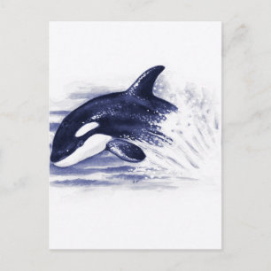 Cartão Postal Baby Orca Jump