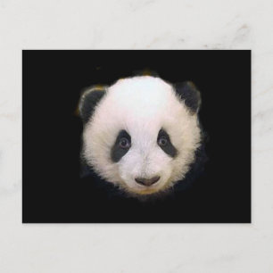 Cartão Postal Baby Panda