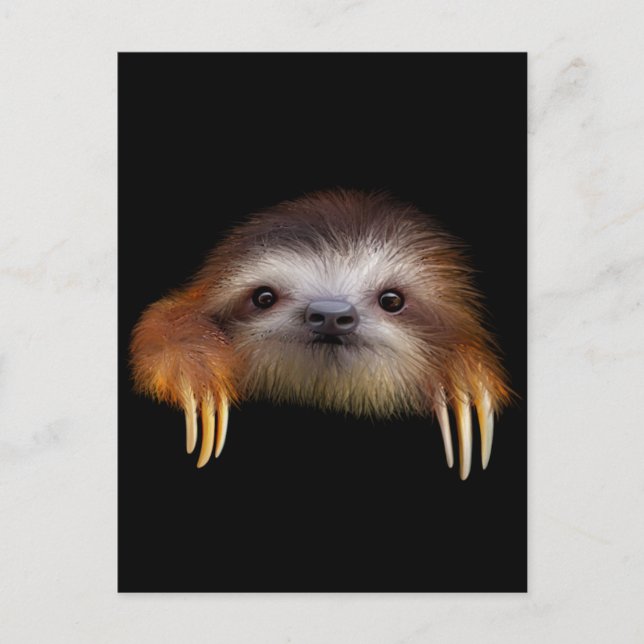Cartão Postal Baby Sloth (Frente)