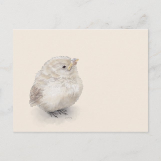 Cartão Postal Baby Sparrow Digital Watercolor (Frente)
