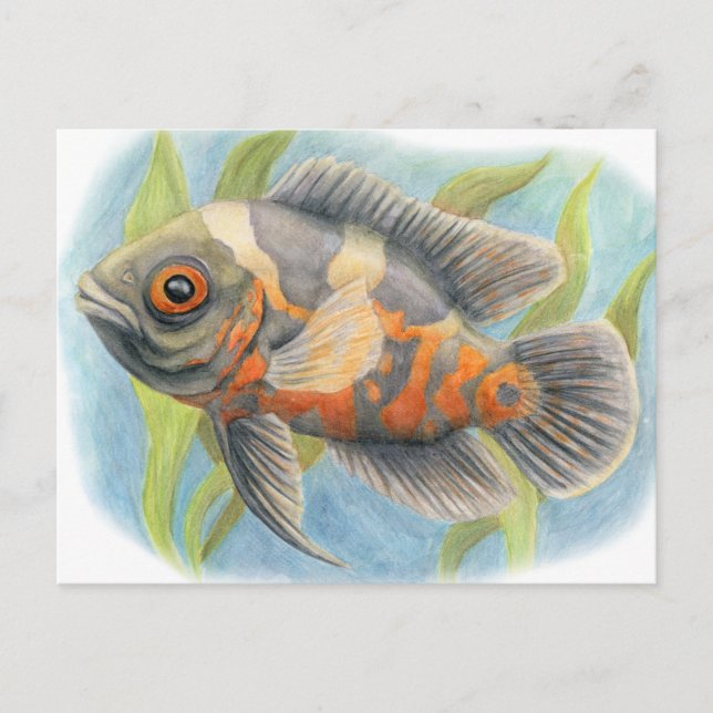 Cartão Postal Baby Tiger Oscar (Frente)