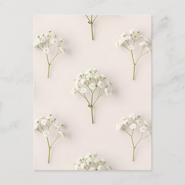 Cartão Postal Baby's Breath Delicate Neutral Pattern (Frente)