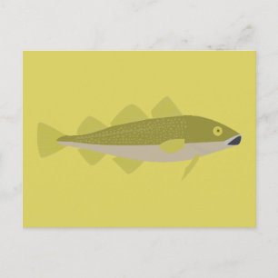 Cartão Postal Bacalhau