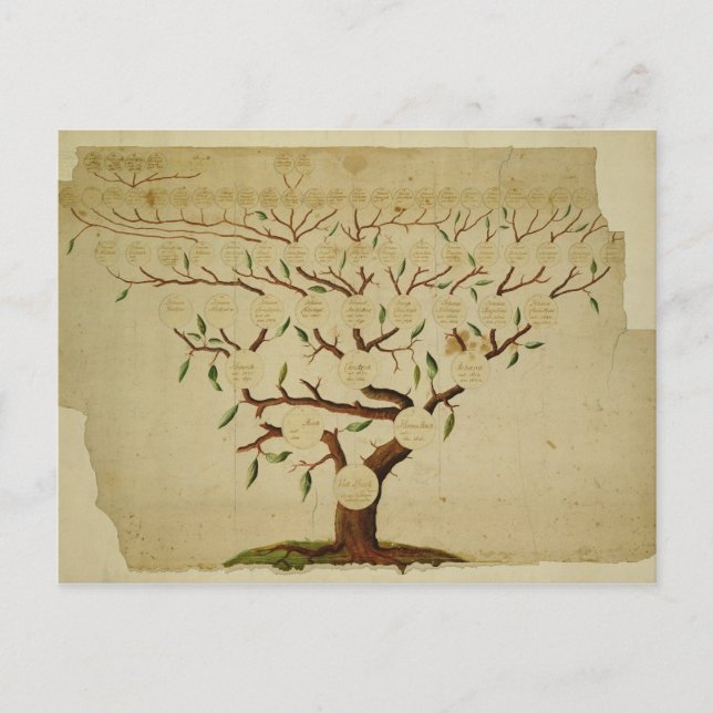 Cartão Postal Bach Family Tree, c.1750-1770 (Frente)