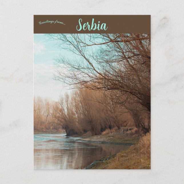 Cartão Postal Bačka Palanka Sérvia (Frente)