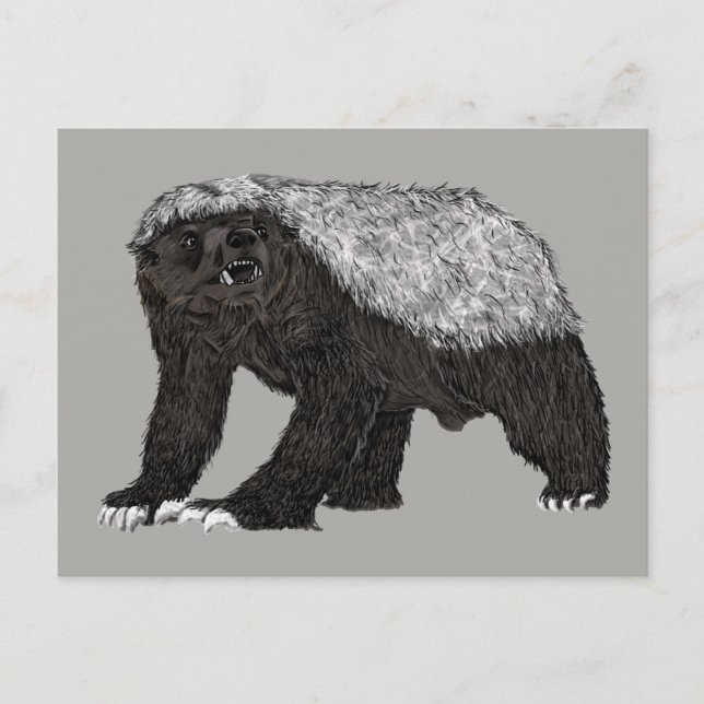 Cartão Postal Badass Honey Badger Aearless Attitude Animal Art (Frente)