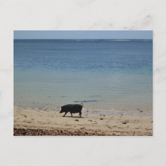 Cartão Postal Badetag