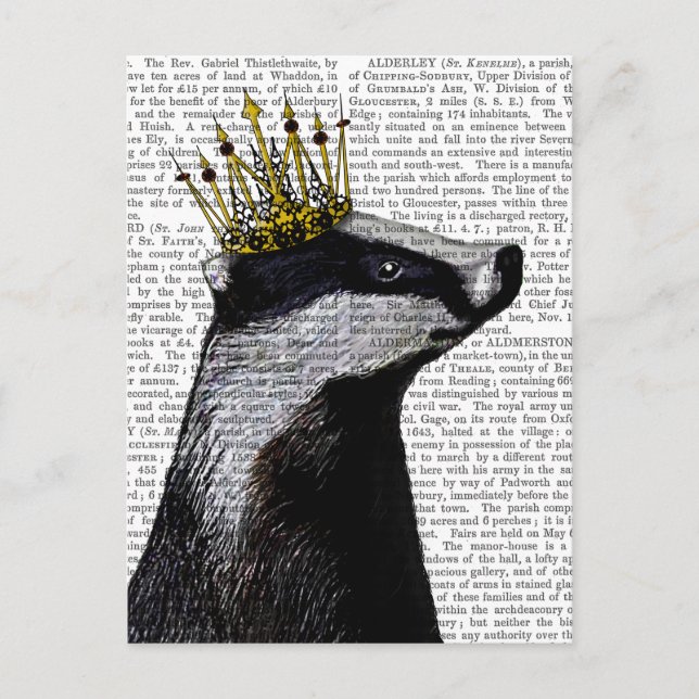 Cartão Postal Badger King (Frente)