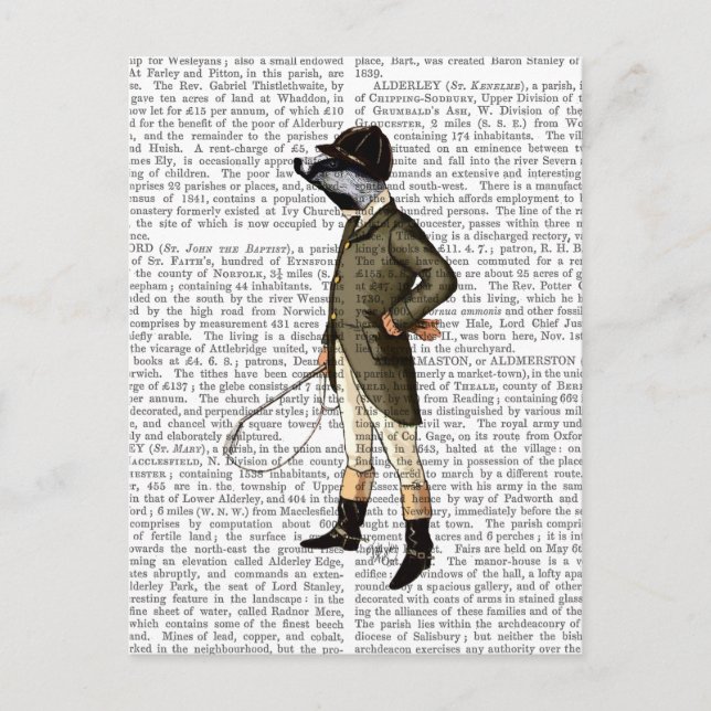 Cartão Postal Badger O Cheio Do Cavaleiro (Frente)