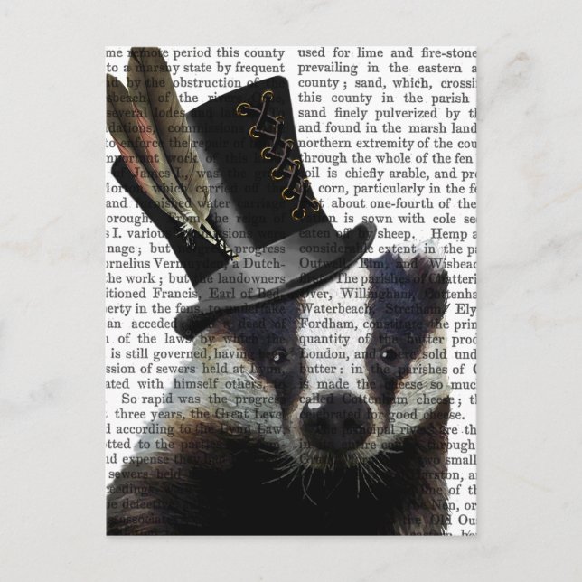 Cartão Postal Badger Steampunk no Top Hat (Frente)