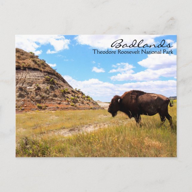 Cartão Postal Badlands of North Dakota Postcard (Frente)