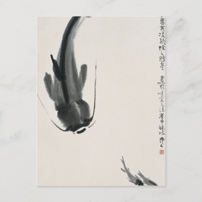 Cartão Postal Bagre Chinês (Frente)