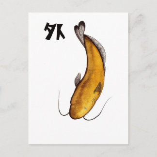 Cartão Postal bagre Void