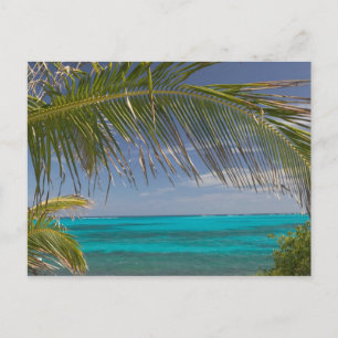Cartão Postal BAHAMAS, Abacos, Loyalist Cays, Man O'War Cay: