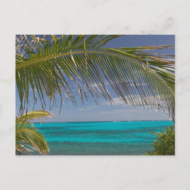Cartão Postal BAHAMAS, Abacos, Loyalist Cays, Man O'War Cay: (Frente)
