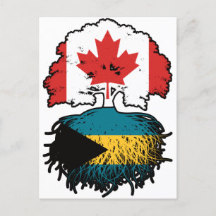 Cartão Postal Bahamas Bahamas Bahamas canadense Canada Tree Root