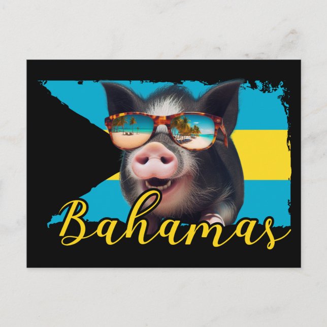 Cartão Postal Bahamas Nadando Suínos - Exuma Pig Beach Adventure (Frente)