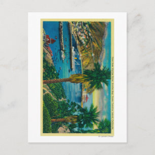 Cartão Postal Baía de Avalon, Papais noeis Ilha Catalina de Skyl