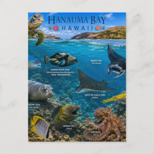 Cartão Postal Baía de Hanauma no Havaí