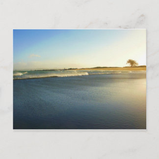 Cartão Postal Baía De Humboldt, Eureka, Ca.