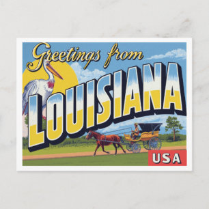 Cartão Postal Baía do Carriage do Pelicano da Louisiana