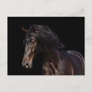 Cartão Postal Baía escura