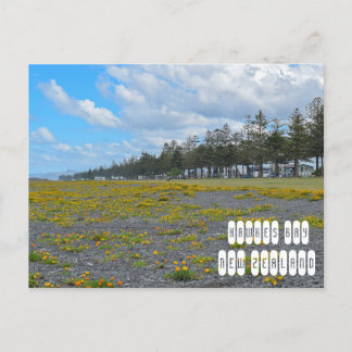 Cartão Postal Baía Hawkes na Nova Zelândia
