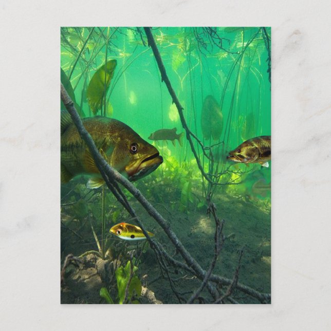 Cartão Postal Baixo (Frente)