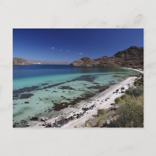 Cartão Postal Baja Conception Bay (Frente)