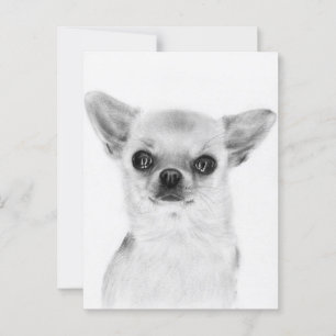 Cartão Postal Balanço Quente - Trabalho de arte Chihuahua Pintad