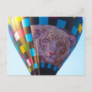 Cartão Postal Balão de Ar Quente, Leopardo de Neve, Olathe, Kans
