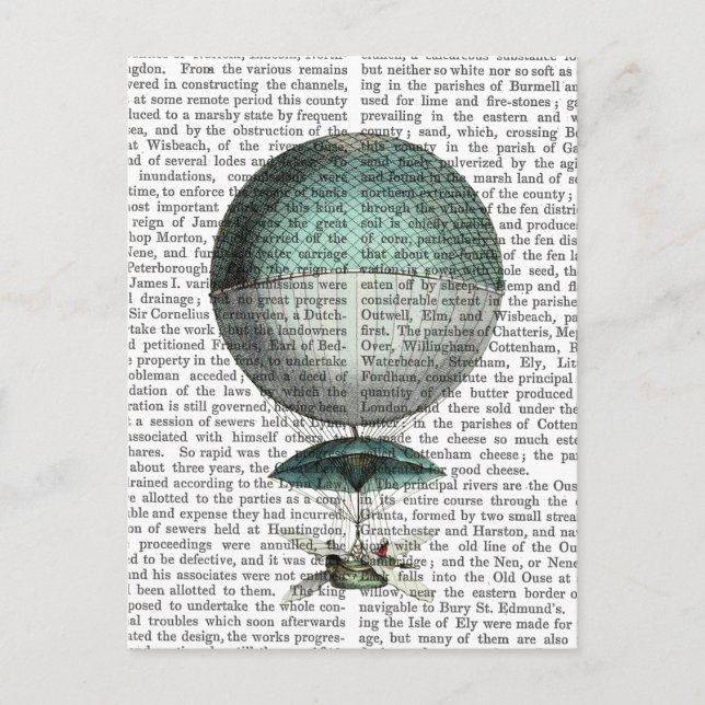 Cartão Postal Balão de Ar Quente Volante de Vaisseau (Frente)