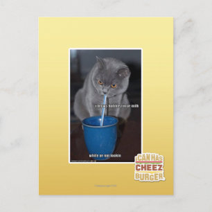 Cartão Postal Balas de Balas no nosso leite